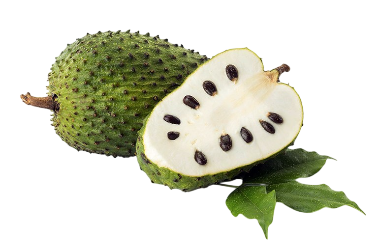 Guanábana fresca