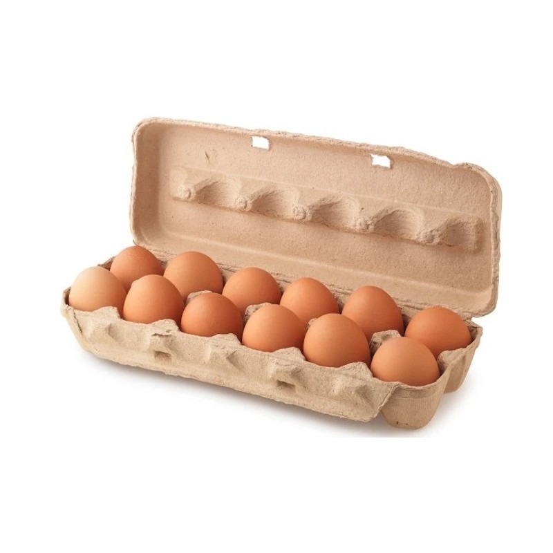 Estuche de 12 huevos de pastoreo