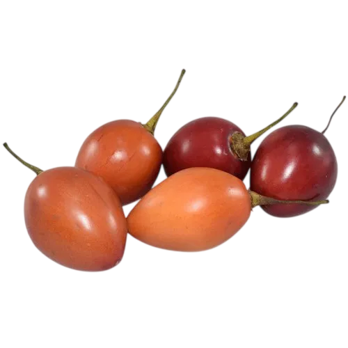 Tomate de árbol fresco